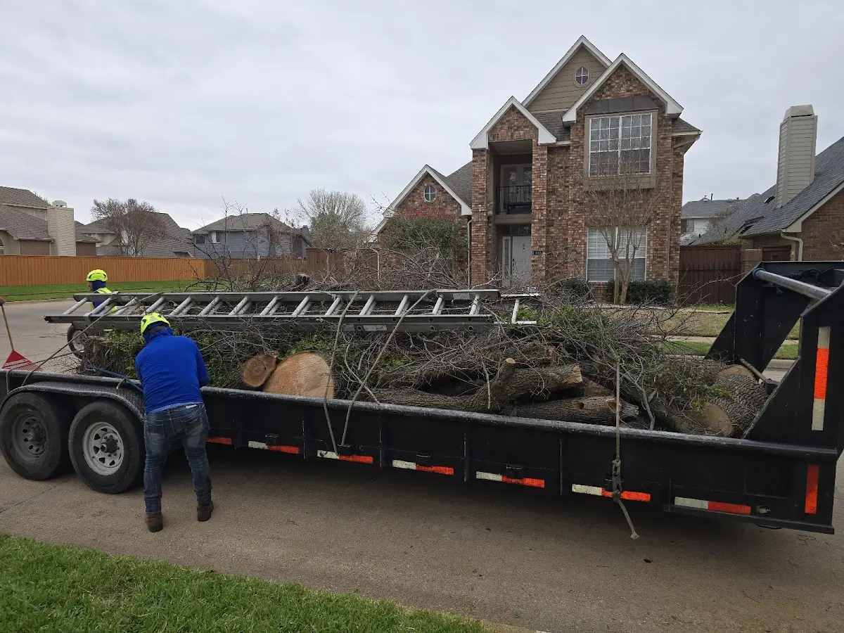 Expert Lot Clearing with proper safety equipment in Des Plaines